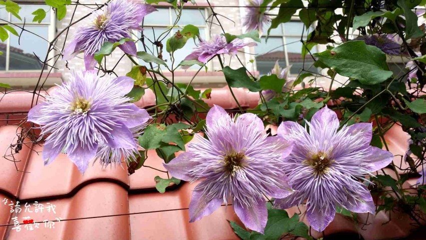 20140420_120333_����.jpg