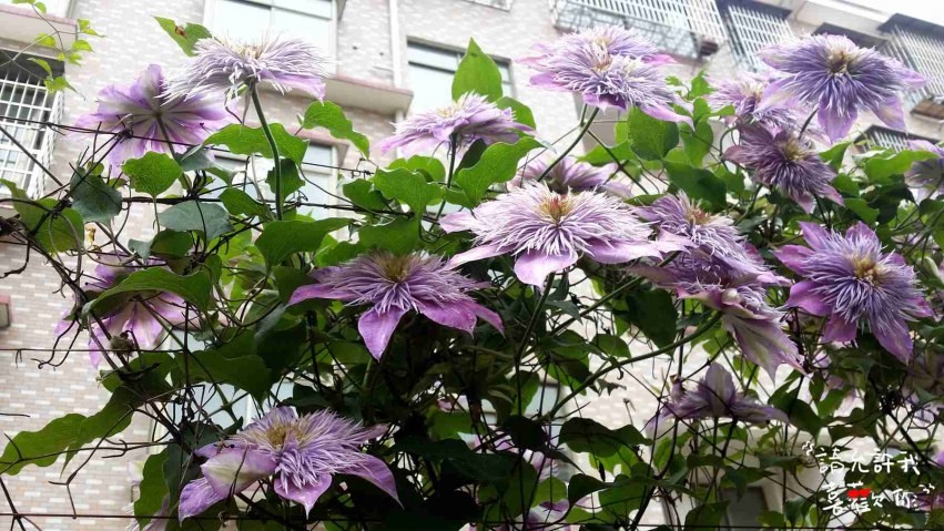 20140420_120340_����.jpg