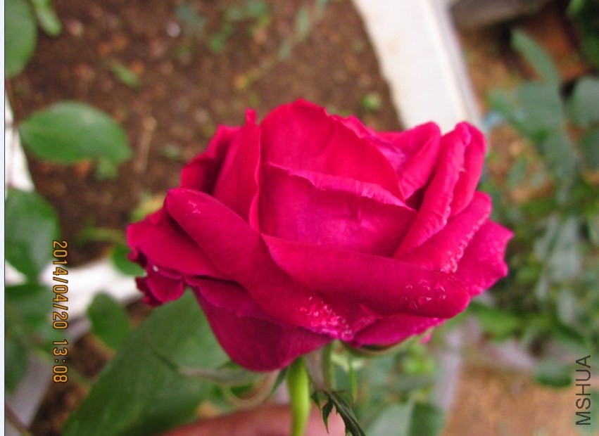 QQͼƬ20140420195255.jpg