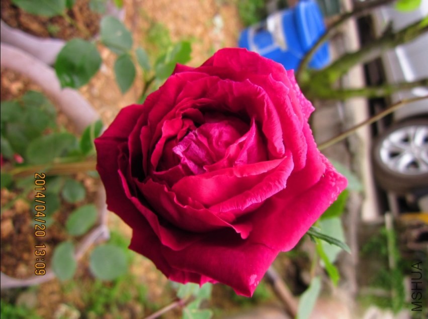 QQͼƬ20140420195301.jpg