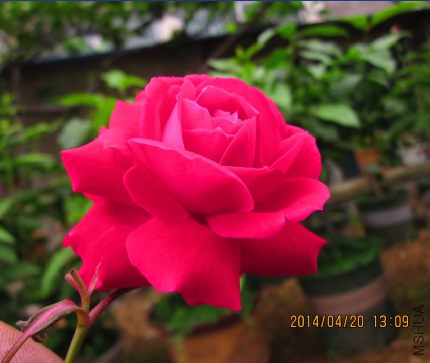 QQͼƬ20140420195306.jpg