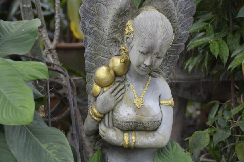 �������ĵ���