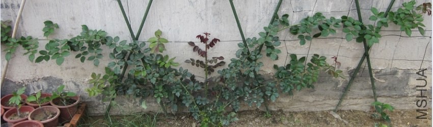 QQ��ͼ20140420201008.jpg