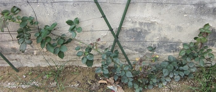 QQ��ͼ20140420200920.jpg