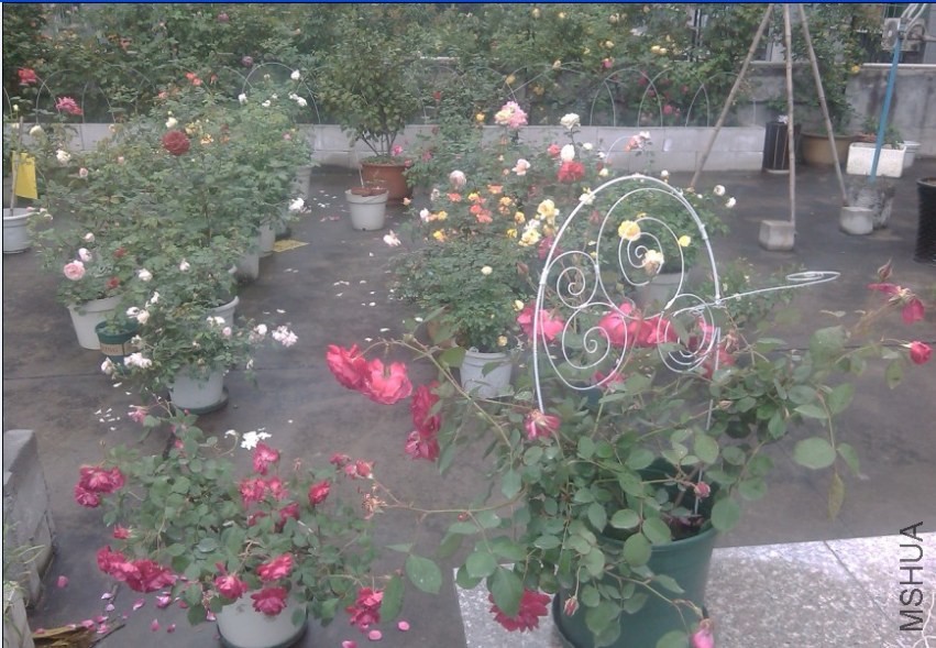 2014-04-20_202014.jpg