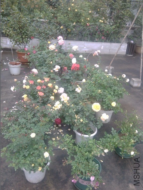 2014-04-20_202118.jpg