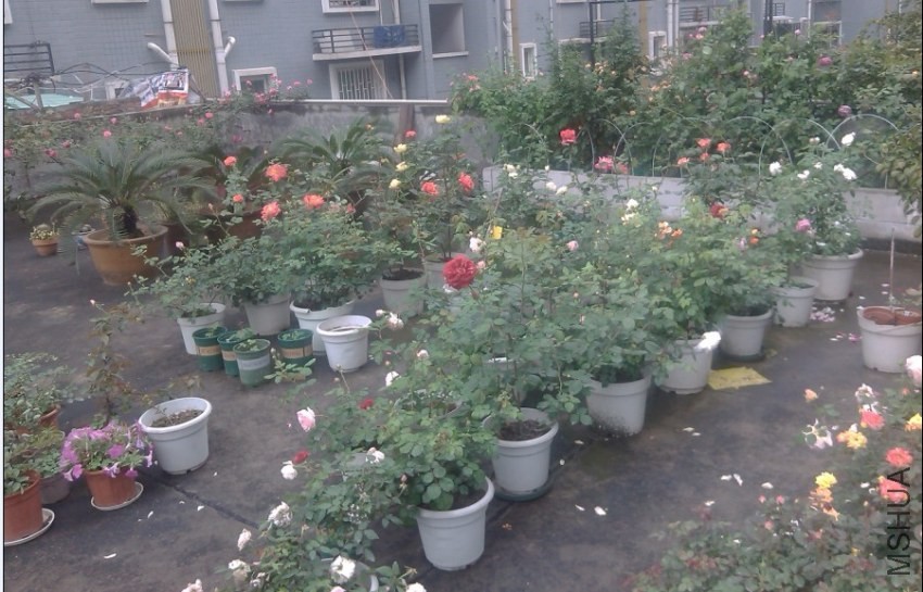 2014-04-20_202133.jpg