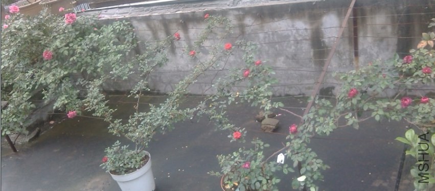 2014-04-20_202221.jpg