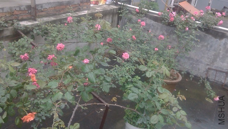 2014-04-20_202240.jpg