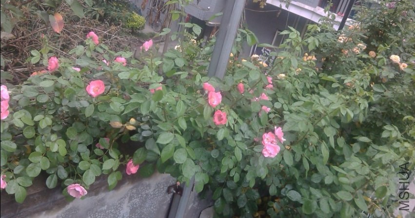 2014-04-20_202252.jpg