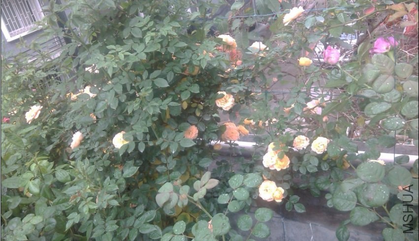 2014-04-20_202318.jpg