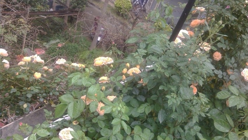 2014-04-20_203043.jpg