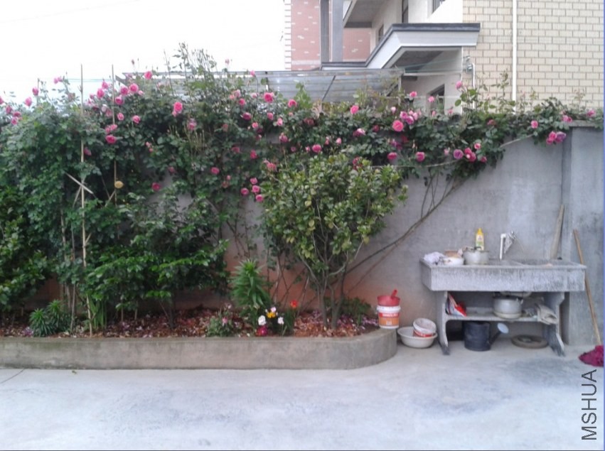 39.jpg