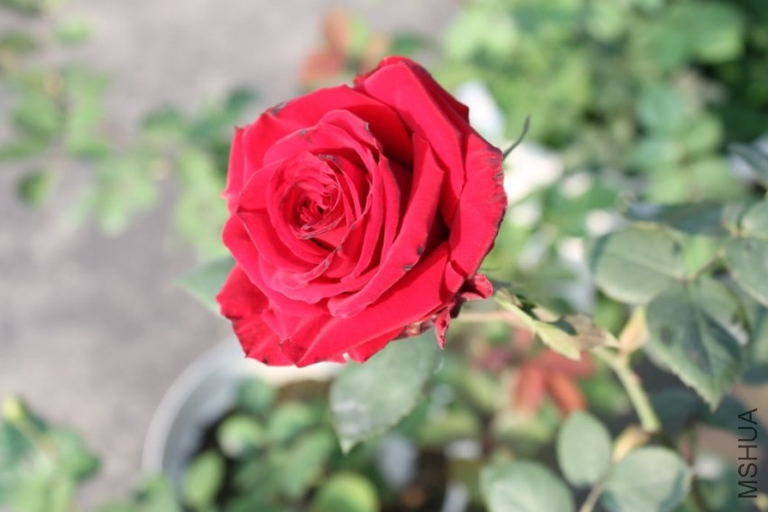 2014-04-20_221622.jpg