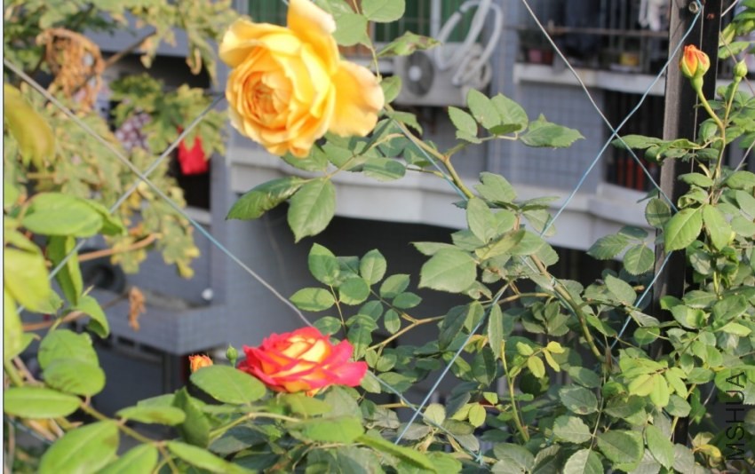 2014-04-20_222222.jpg