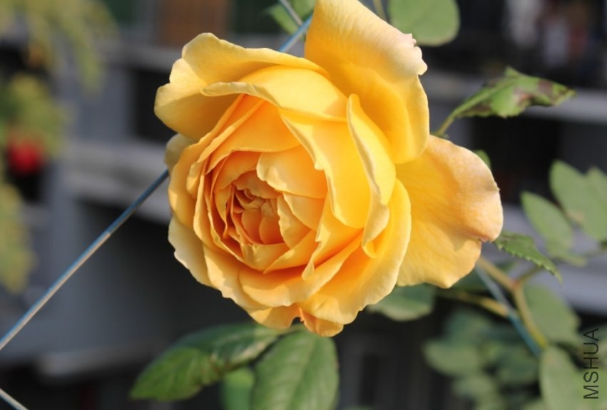 2014-04-20_222231.jpg