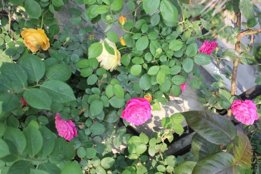 2014-04-20_222849.jpg