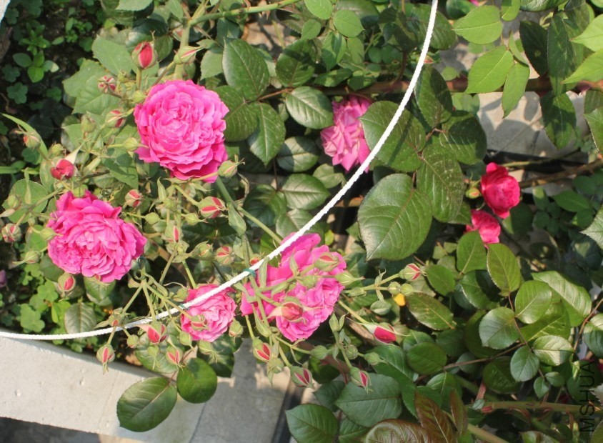 2014-04-20_222913.jpg