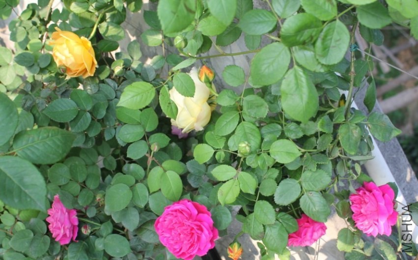 2014-04-20_223015.jpg