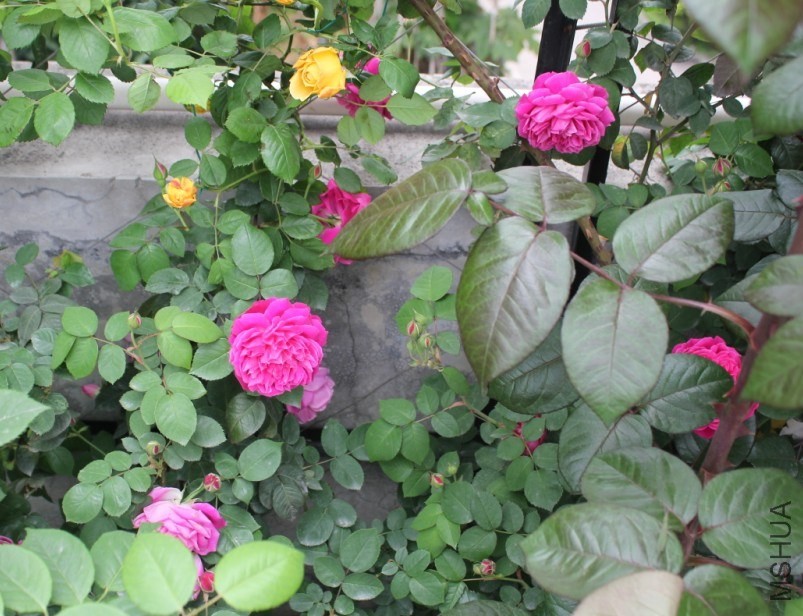 2014-04-20_223355.jpg