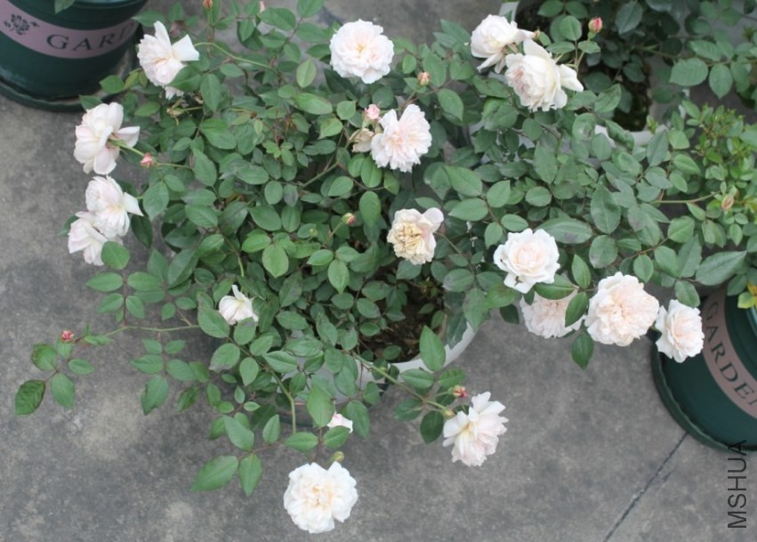 2014-04-20_223058.jpg