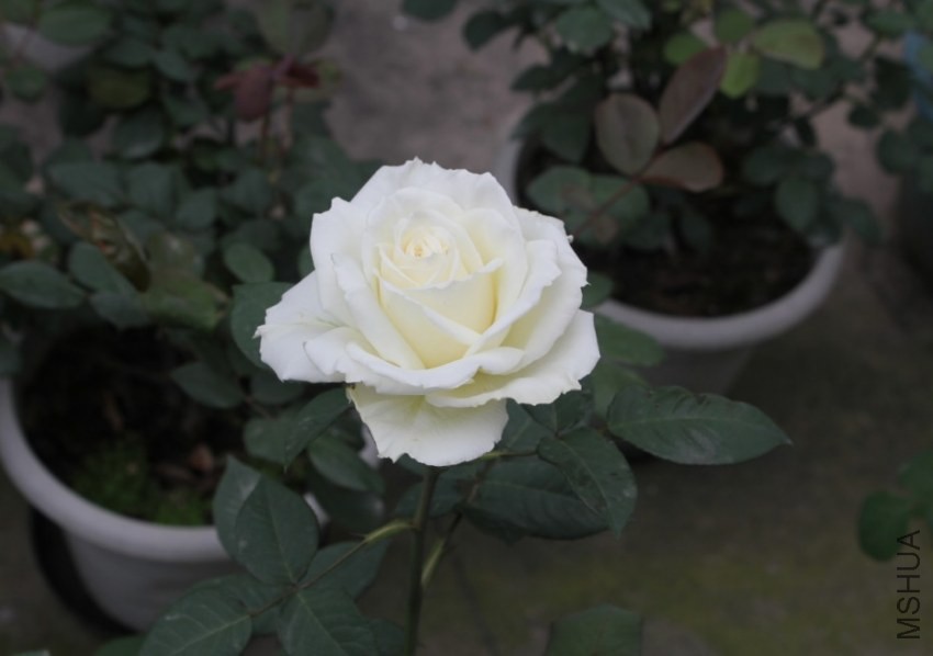 2014-04-20_223107.jpg