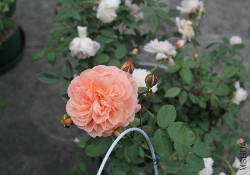 2014-04-20_223203.jpg