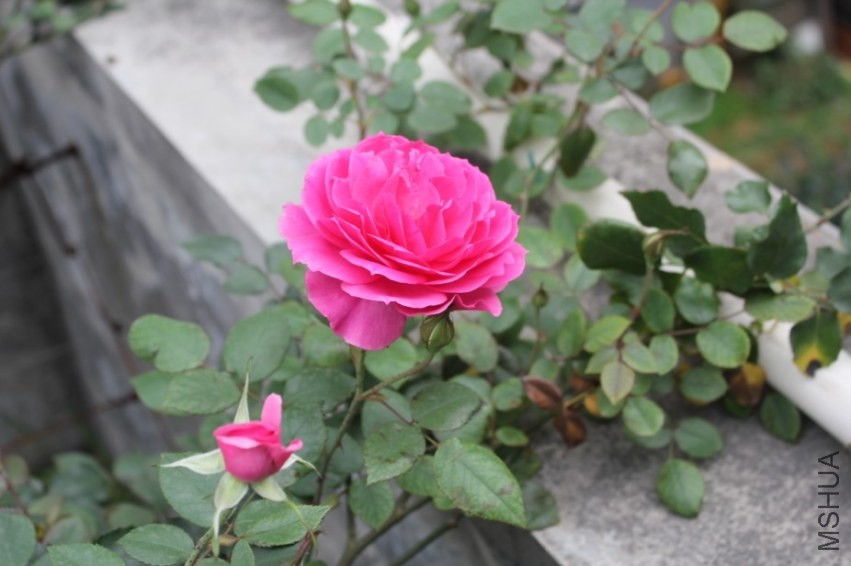 2014-04-20_223217.jpg