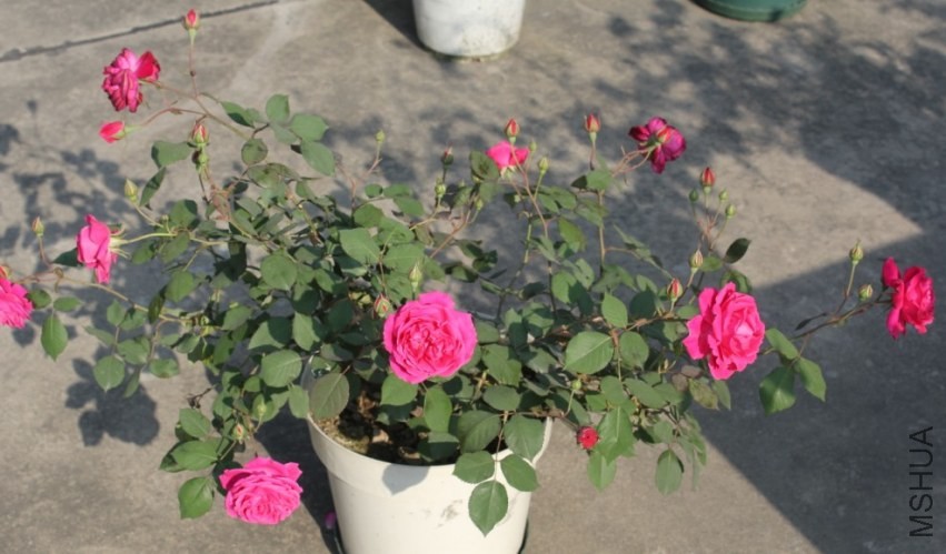 2014-04-20_223520.jpg