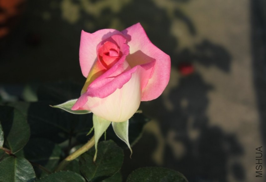 2014-04-20_223528.jpg