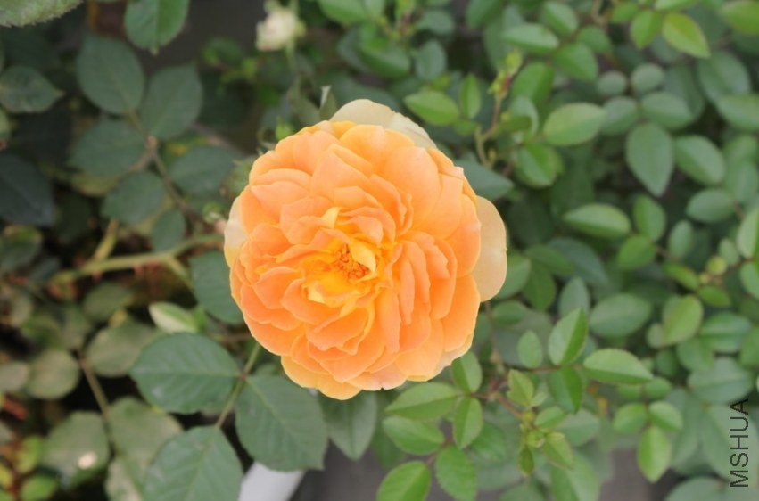 2014-04-20_223703.jpg