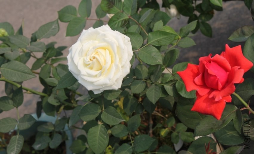 2014-04-20_223729.jpg