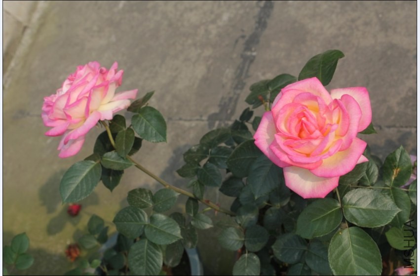 2014-04-20_223800.jpg