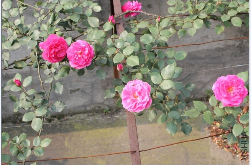 2014-04-20_223930.jpg