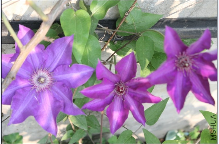 2014-04-20_224154.jpg