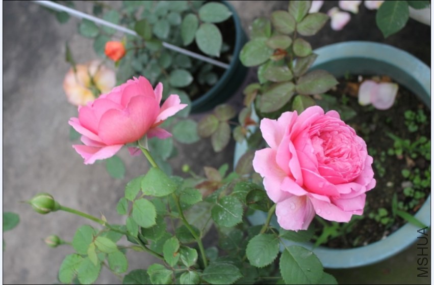 2014-04-20_224359.jpg