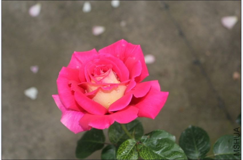 2014-04-20_224437.jpg