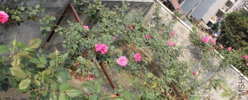 2014-04-20_225049.jpg