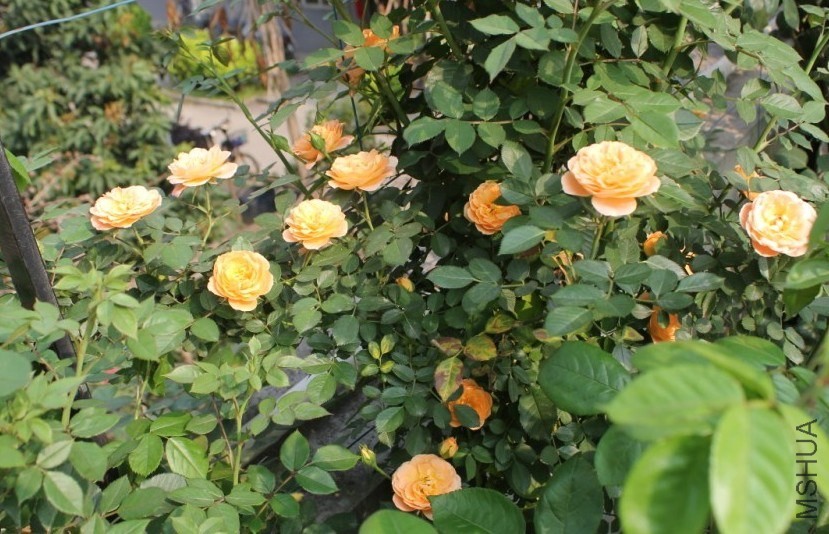 2014-04-20_225510.jpg