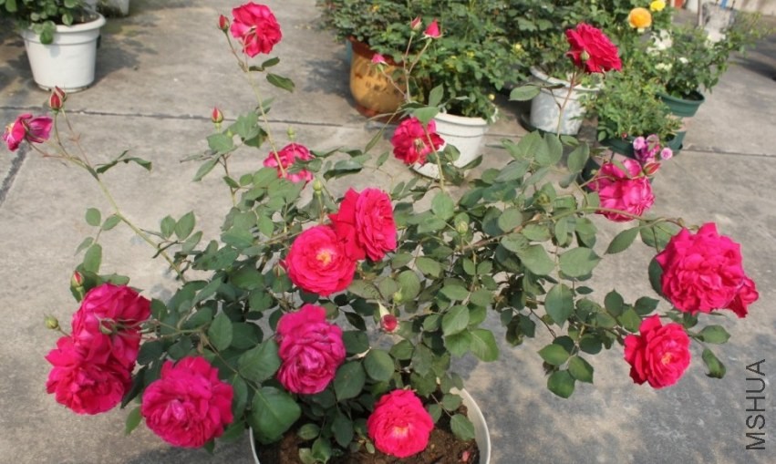 2014-04-20_225640.jpg