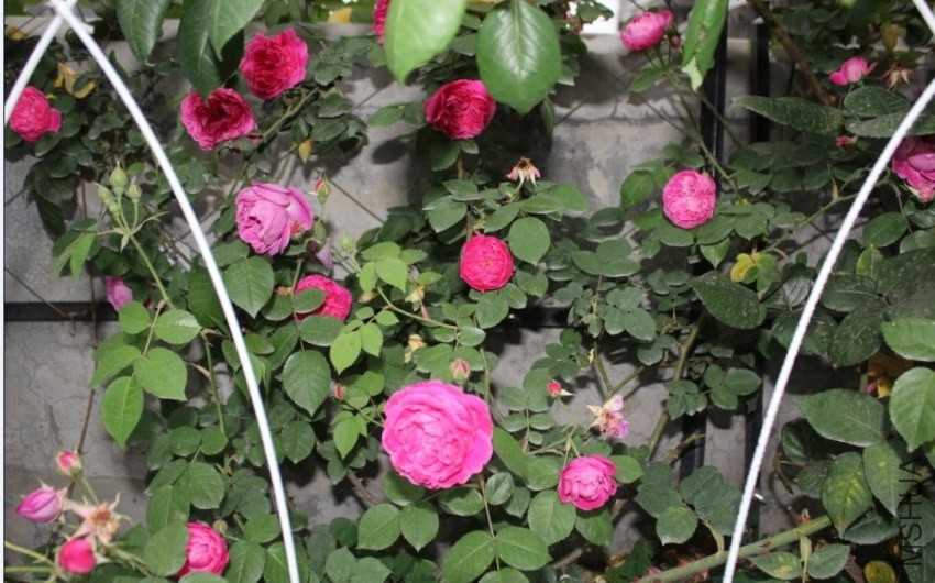 2014-04-20_230011.jpg