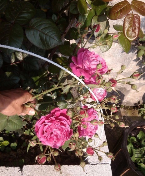 2014-04-20_235938.jpg