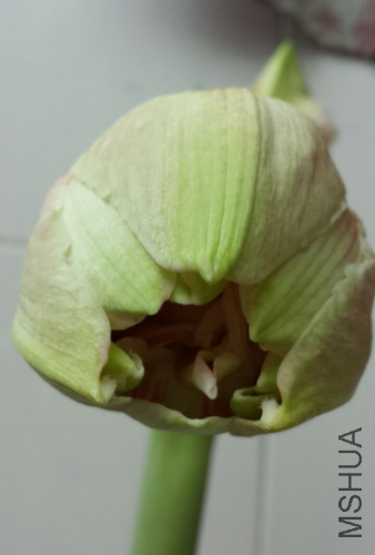 2014_04_20_10_36_09_src.jpg