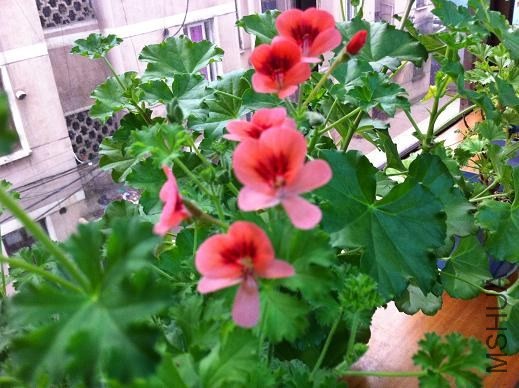 ��Ƭ 039.jpg