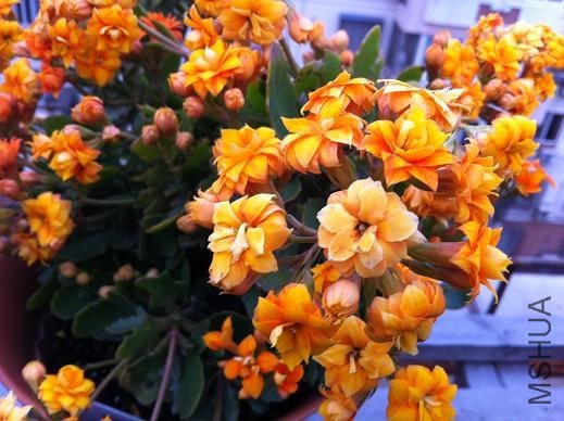 ��Ƭ 042.jpg