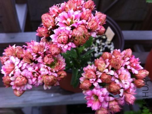 ��Ƭ 044.jpg