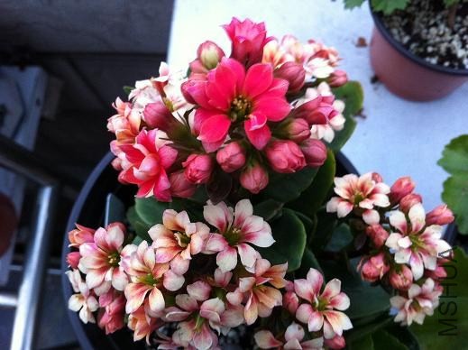��Ƭ 047.jpg