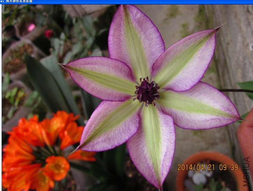 QQͼƬ20140421120008.jpg