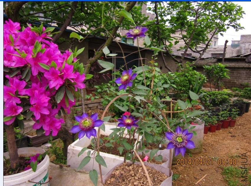 QQͼƬ20140421115932.jpg