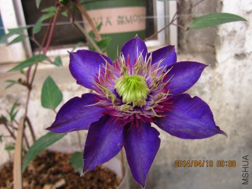 QQͼƬ20140421115849.jpg
